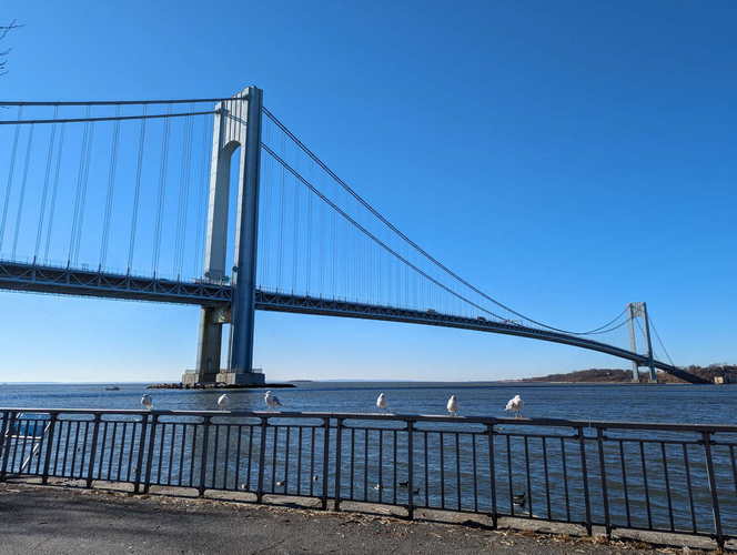 NYC_2024-02-05 09-51-59_PXL_20240205_145159421